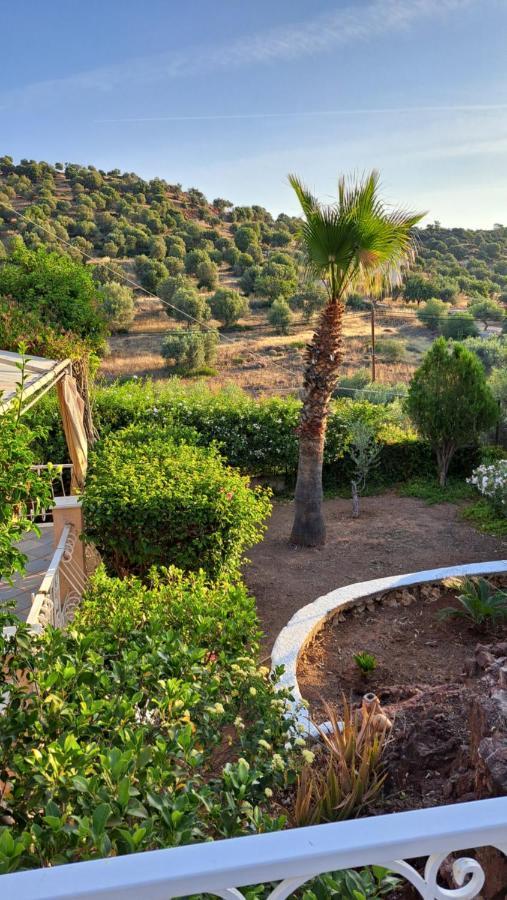 Villa Βlueview Ermioni Exterior foto