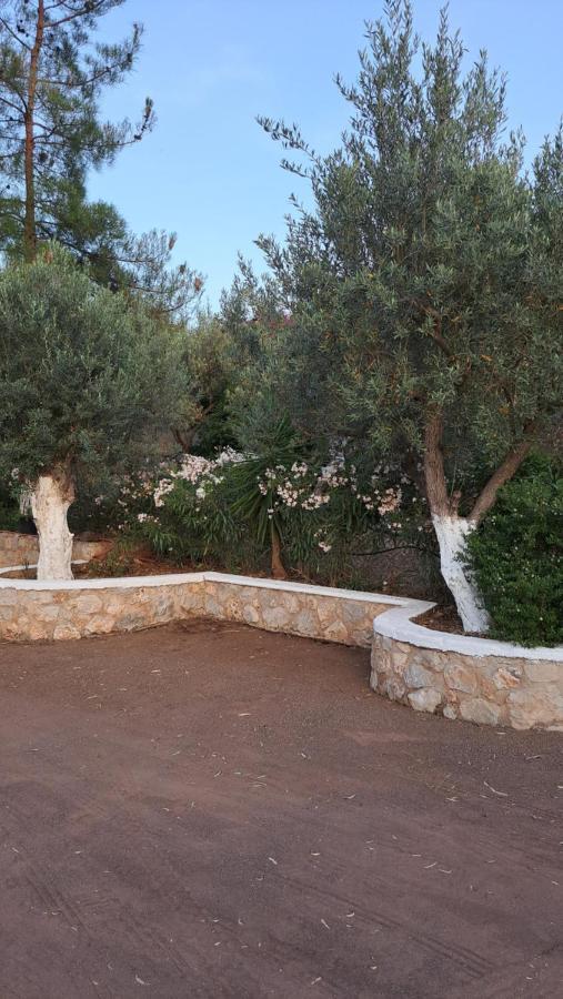Villa Βlueview Ermioni Exterior foto